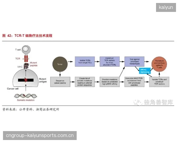 切尔西计划与国际医疗机构合作优化康复流程：打造未来康复新蓝图